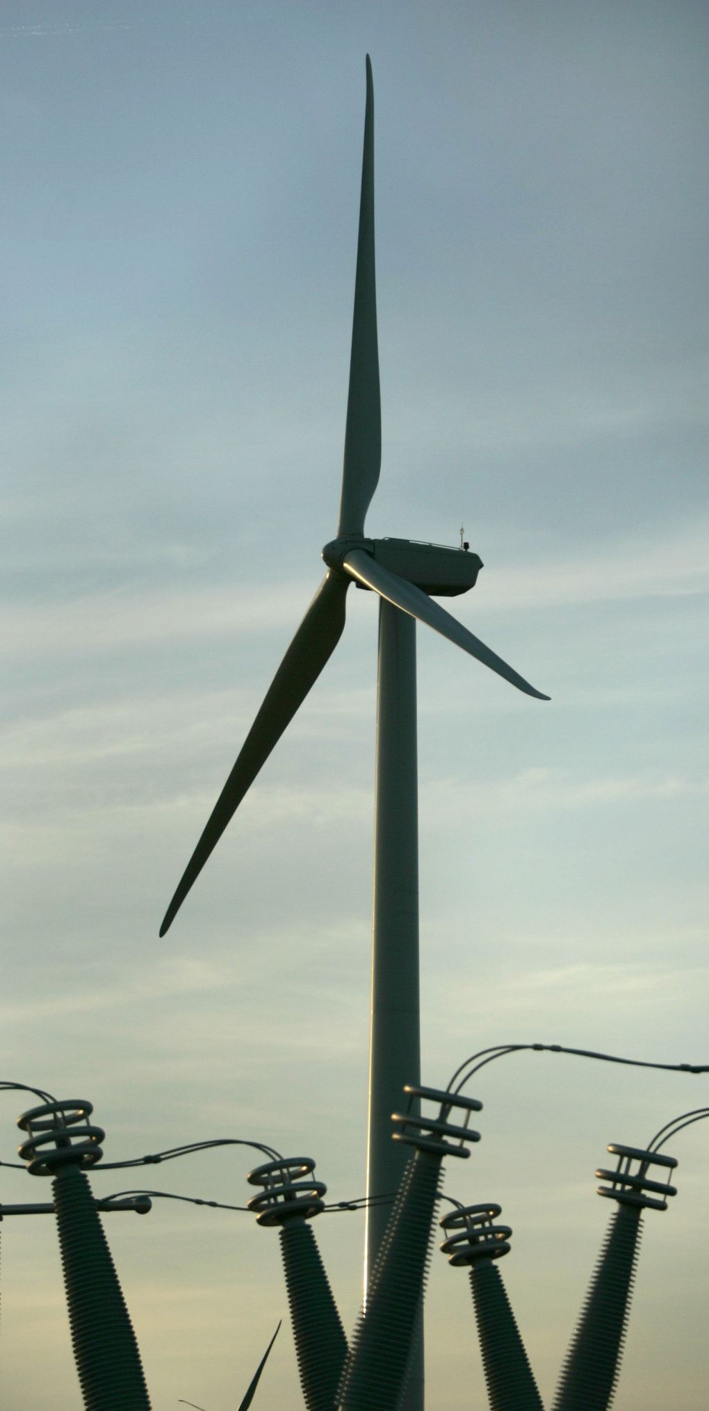 WIND FARM